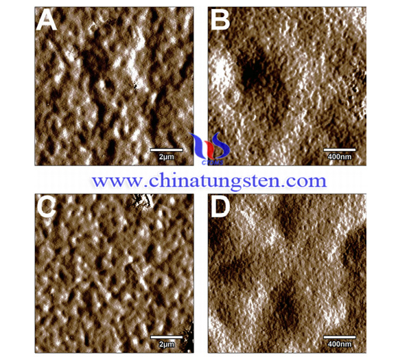 Image of Chit-APT coating